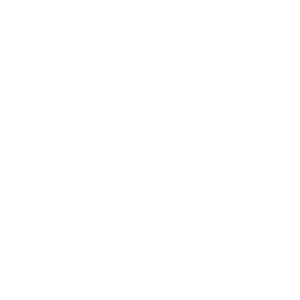 Wyatt Bicycles Sprocket Text logp